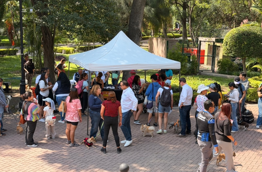  Municipio de Querétaro lleva servicios gratuitos de bienestar animal a la Alameda Hidalgo