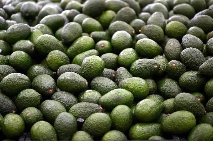 El hueso de aguacate: un residuo con mucho valor