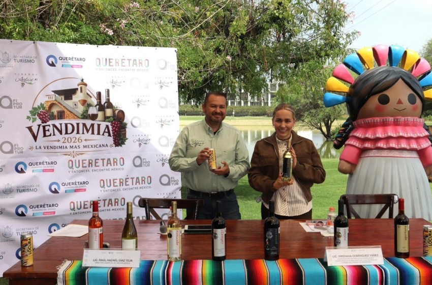  Viñedos Azteca prepara “La Vendimia más Mexicana” en Ezequiel Montes