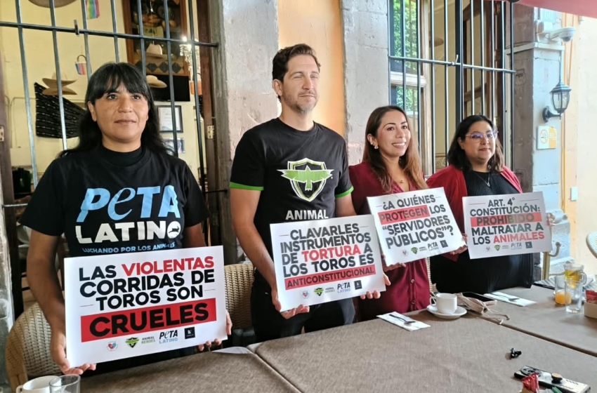  Tauromaquia en declive en Querétaro; activistas impulsan iniciativa contra instrumentos de tortura