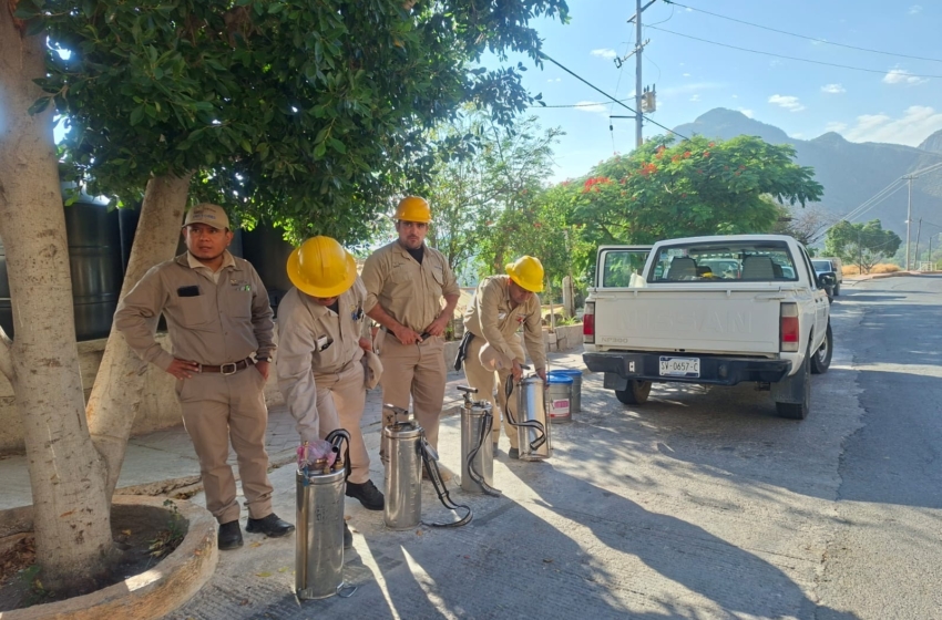  SESA Querétaro y ciudadanía unen esfuerzos contra el dengue
