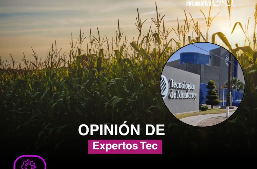  ¿Qué tanto aguanta una tostada?