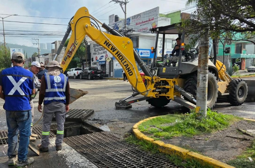  El Marqués realiza jornadas de limpieza en Paseos del Marqués y La Pradera