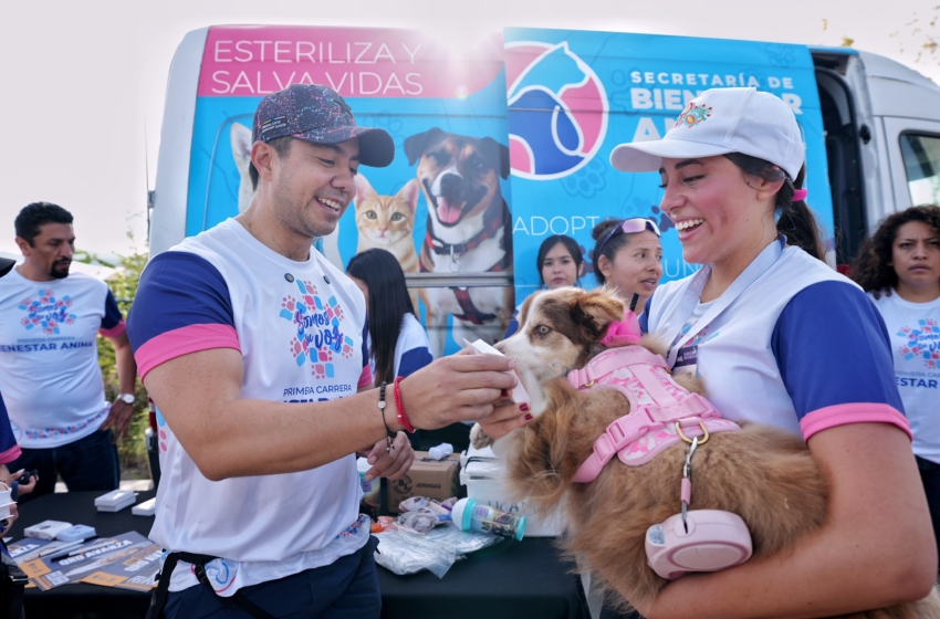  Anuncian entrega de tags de geolocalización para mascotas en Querétaro
