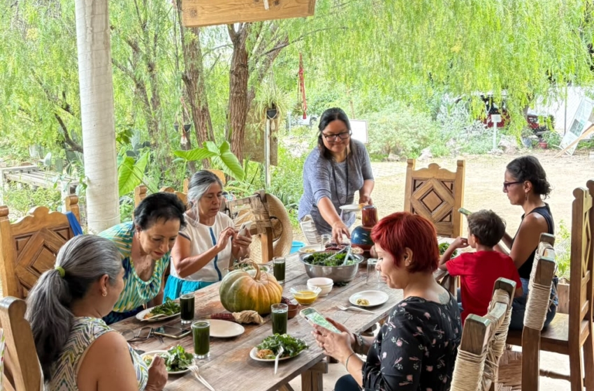  “Saborea Querétaro” llevará la gastronomía tradicional del huerto a la mesa