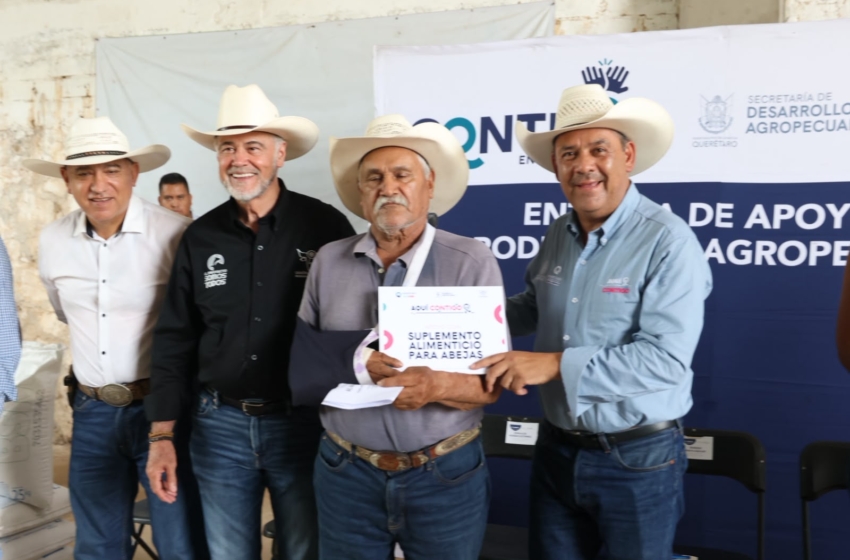  Entregan suplemento alimenticio a 70 apicultores de la Sierra de Querétaro