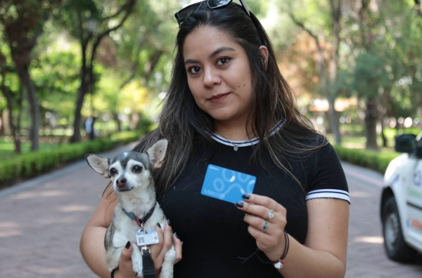  AMEQ anuncia segunda Jornada Petfriendly