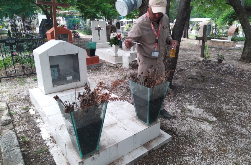  SESA despliega brigadas contra el dengue en panteones de Querétaro por Día de Muertos