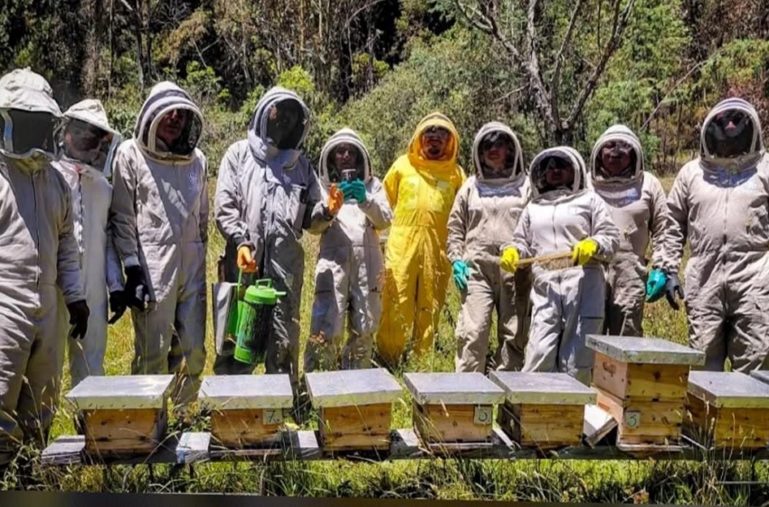  IMPA El Marqués intercambia experiencias en Colombia para mejorar la protección de abejas