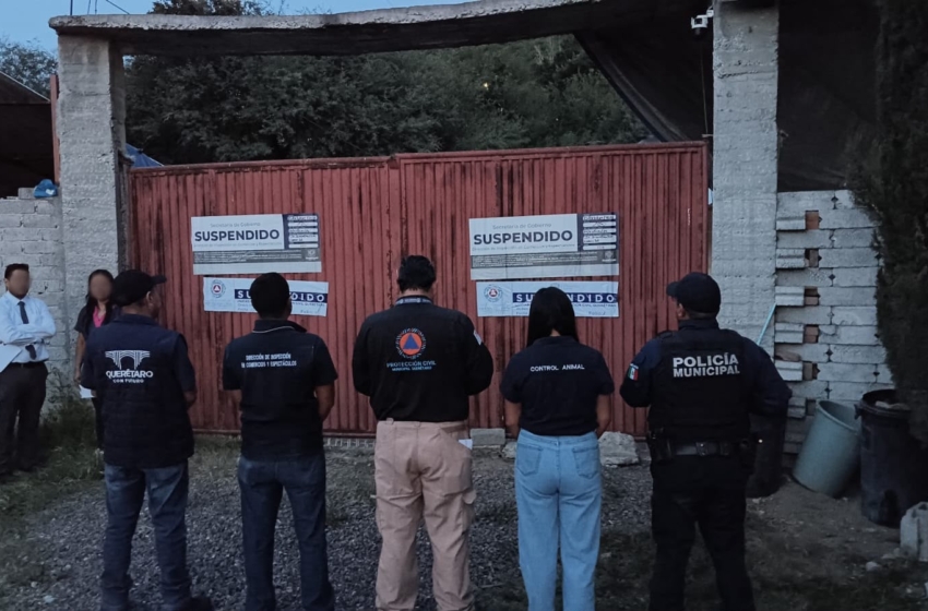  Suspenden pensión para perros en Juriquilla y resguardan a 28 ejemplares